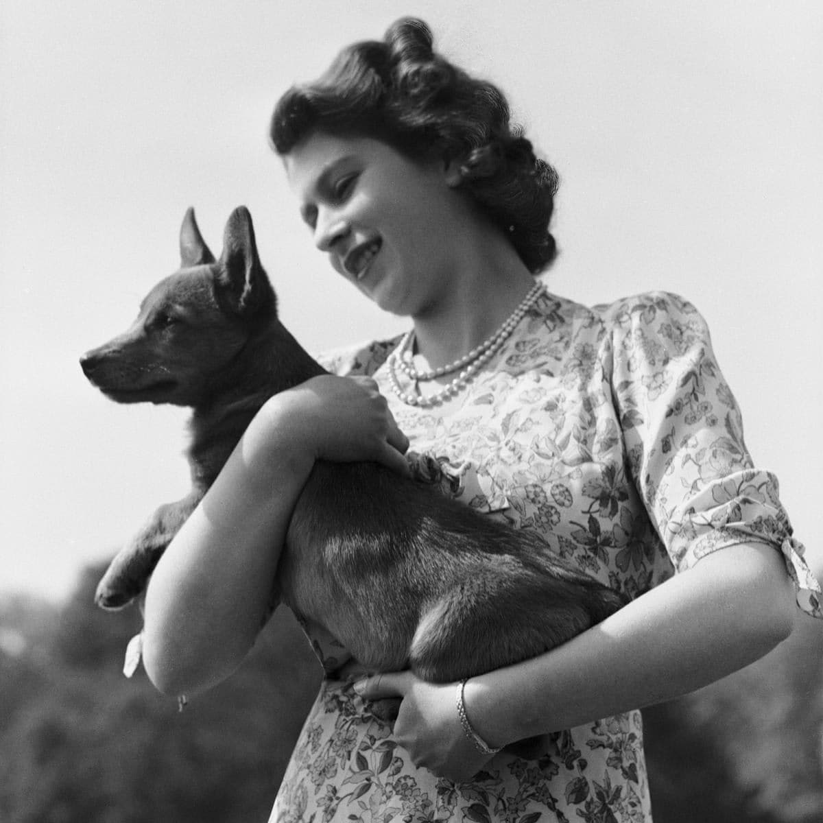 The Queen was gifted her first corgi, Susan, on her 18th birthday