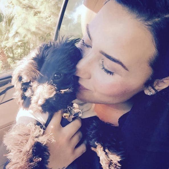 Following the sad death of her pet dog Buddy, Demi Lovato has since bought another puppy called Batman, who she frequently shares pictures of on Instagram.
<br>Photo: Instagram/@ddlovato