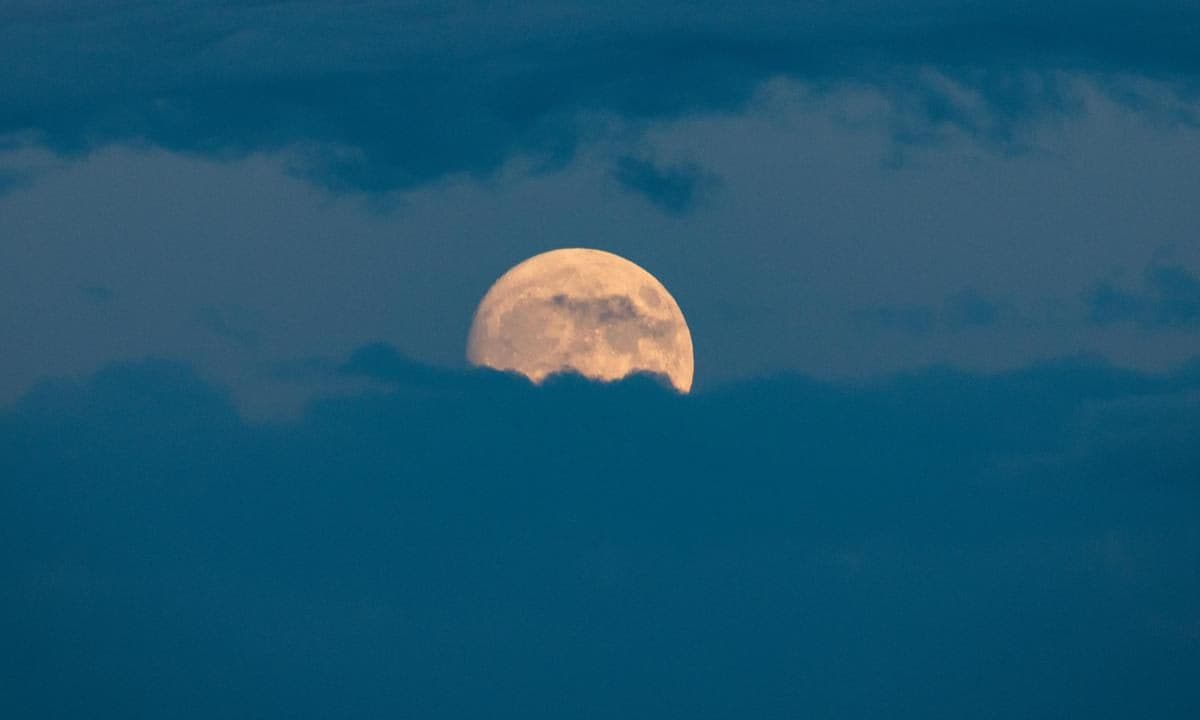 Super Blue Moon: What does it mean for you and your zodiac sign?