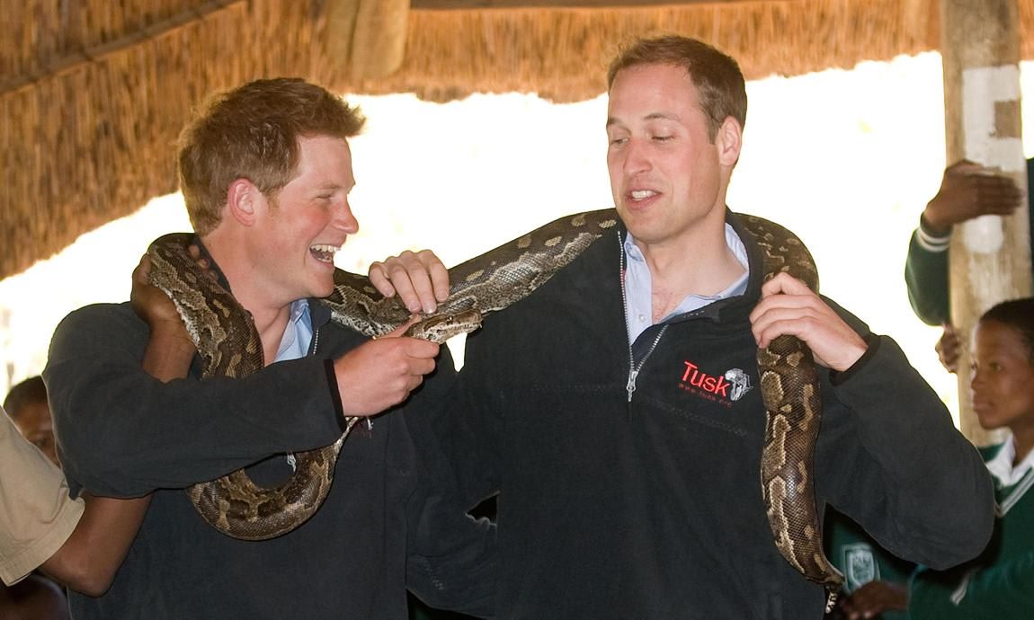 Prince Harry and Prince William's best photos together