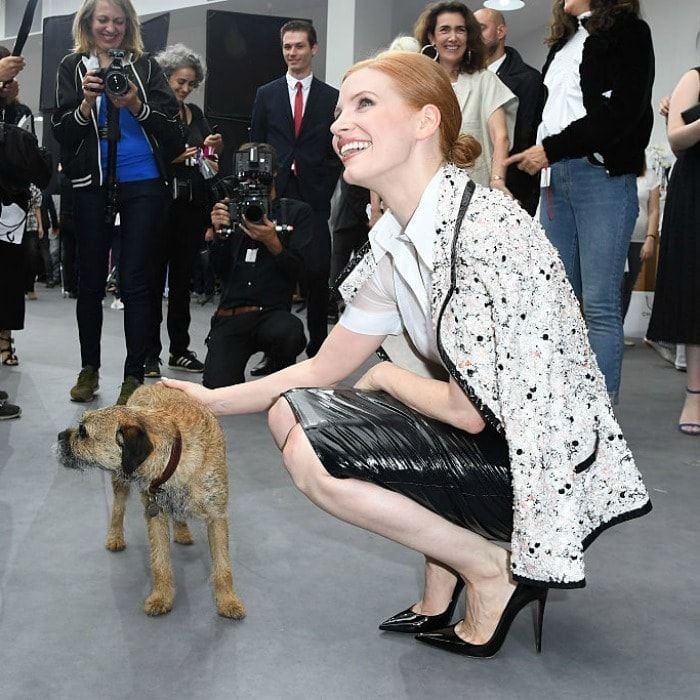 Man and fashion's best friend! Jessica Chastain made a furry pal after the Chanel Haute Couture show.
<br>
Photo: Pascal Le Segretain/Getty Images