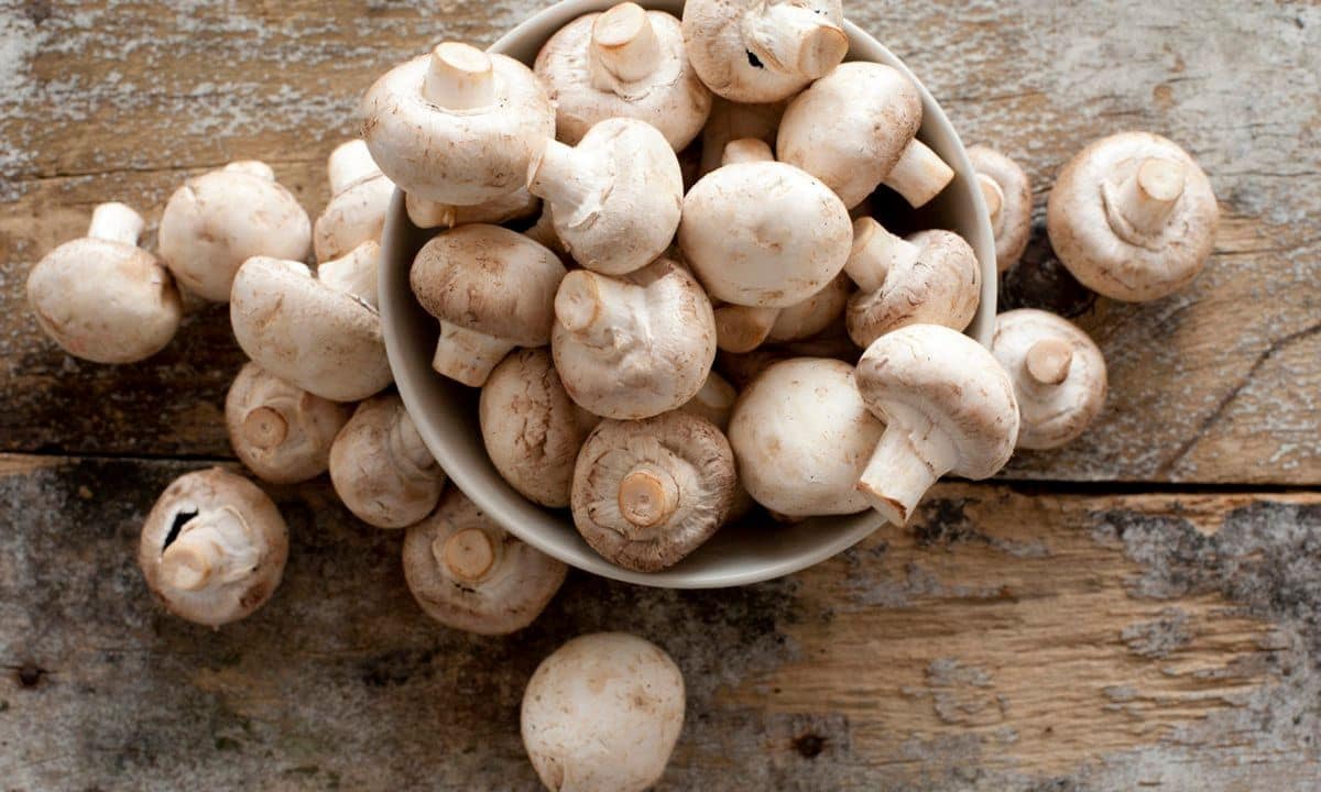 Fresh whole white mushrooms, of the genus Agaricus, in a bowl on a counter