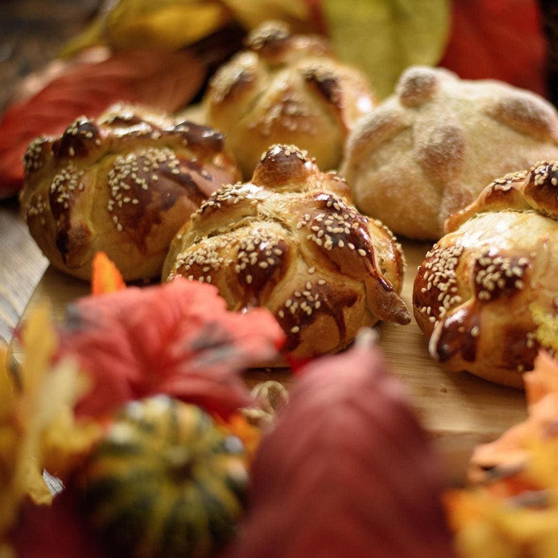 Pan de muerto a type of pan dulce traditionally baked in Mexico.