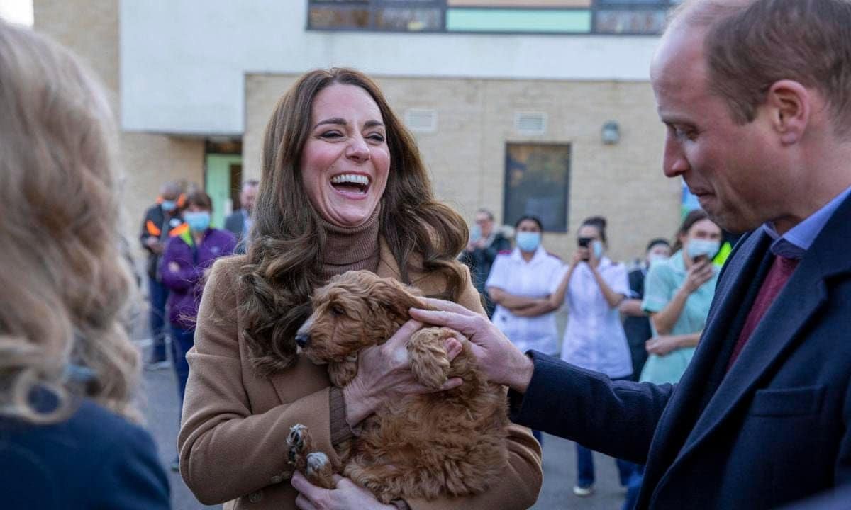 TOPSHOT - Britain's Catherine, Duchess of Cambridge, watched by her husband Britain's Prince William, Duke of Cambridge, holds a therapy puppy, before unveiling it's name, Alfie, to members of staff during their visit to Clitheroe Community Hospital in north east England on January 20, 2022. - The puppy, funded through the hospital charity ELHT&Me using a grant from NHS Charities Together, will be used to support the wellbeing of staff and patients at the hospital. (Photo by James Glossop / POOL / AFP) (Photo by JAMES GLOSSOP/POOL/AFP via Getty Images)