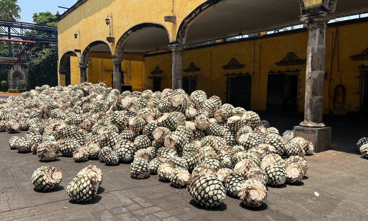 Fábrica La Rojeña