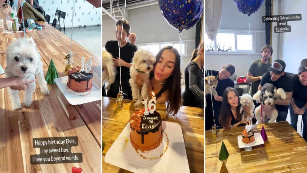 Ana de Armas celebrates her dog's birthday