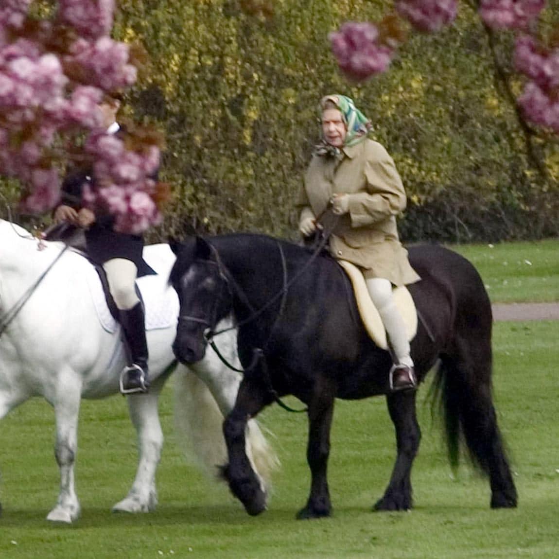 The Queen Horseriding In Windsor On Her 79Th Birthday
