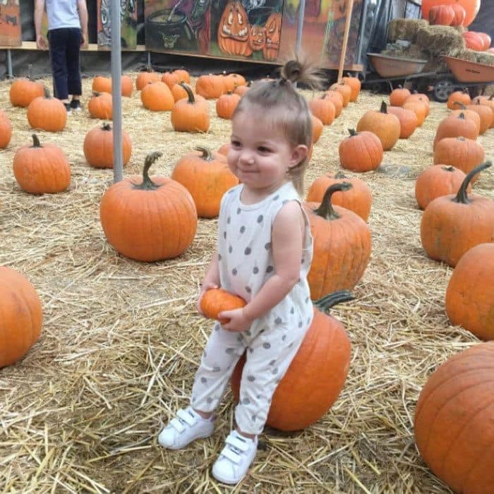 <b>2016</b>
Haylie Duff "got the best pumpkin in the whole darn patch" her baby girl, Ryan Rosenberg!
Photo: Instagram/@haylieduff