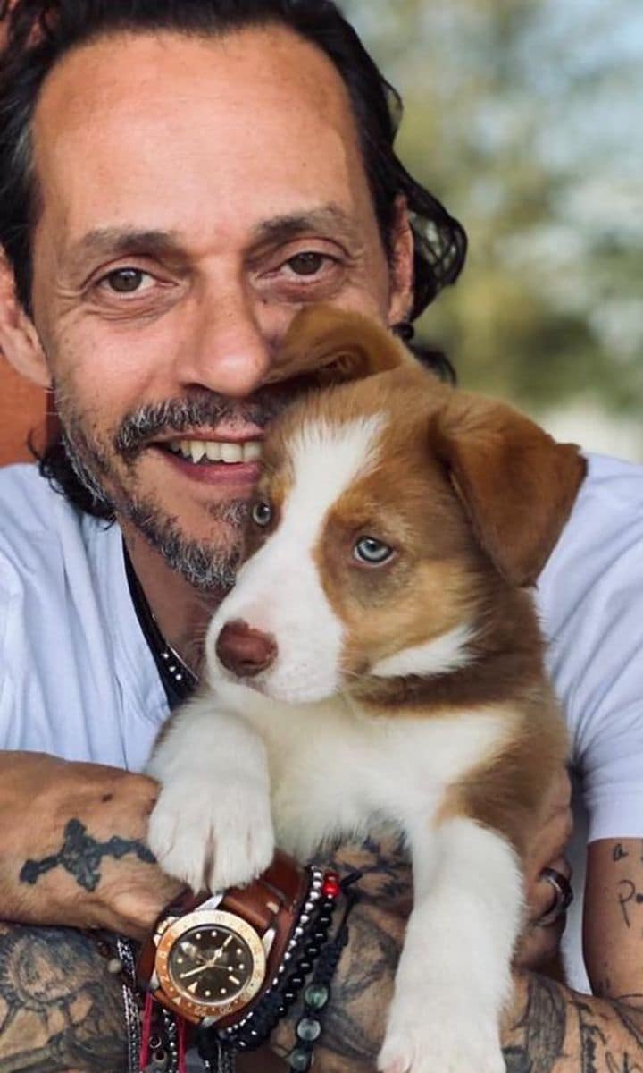 Marc Anthony with his puppy Gigi