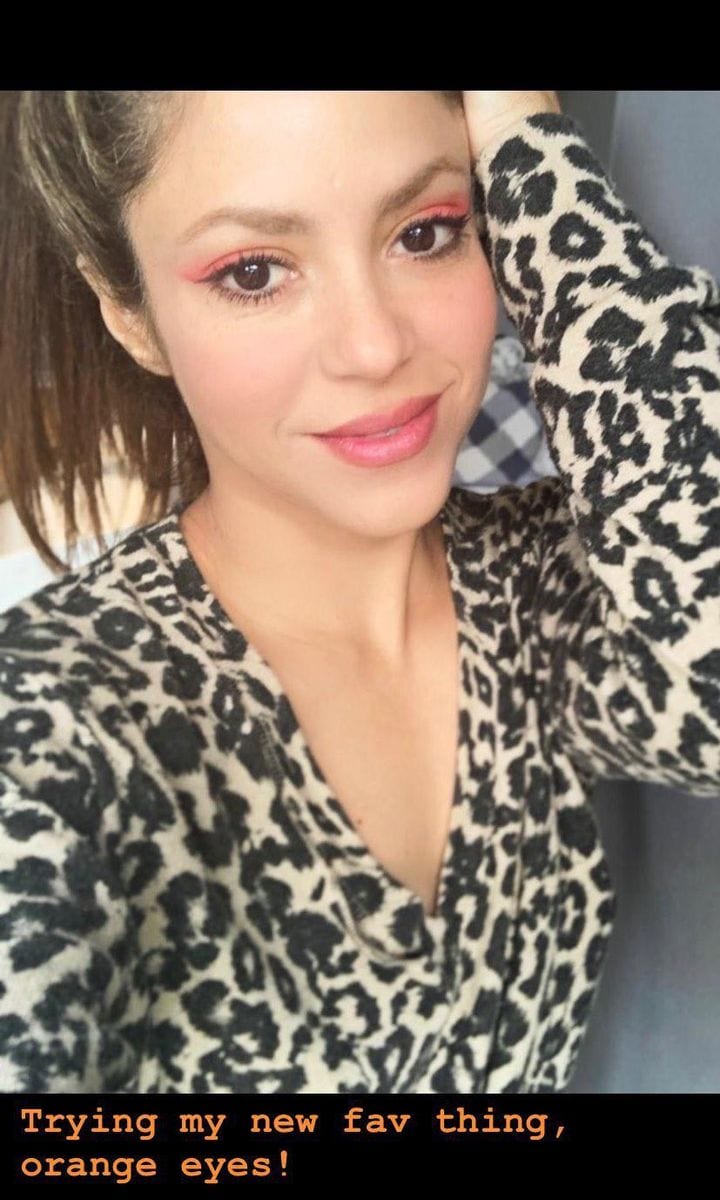 Shakira fall makeup