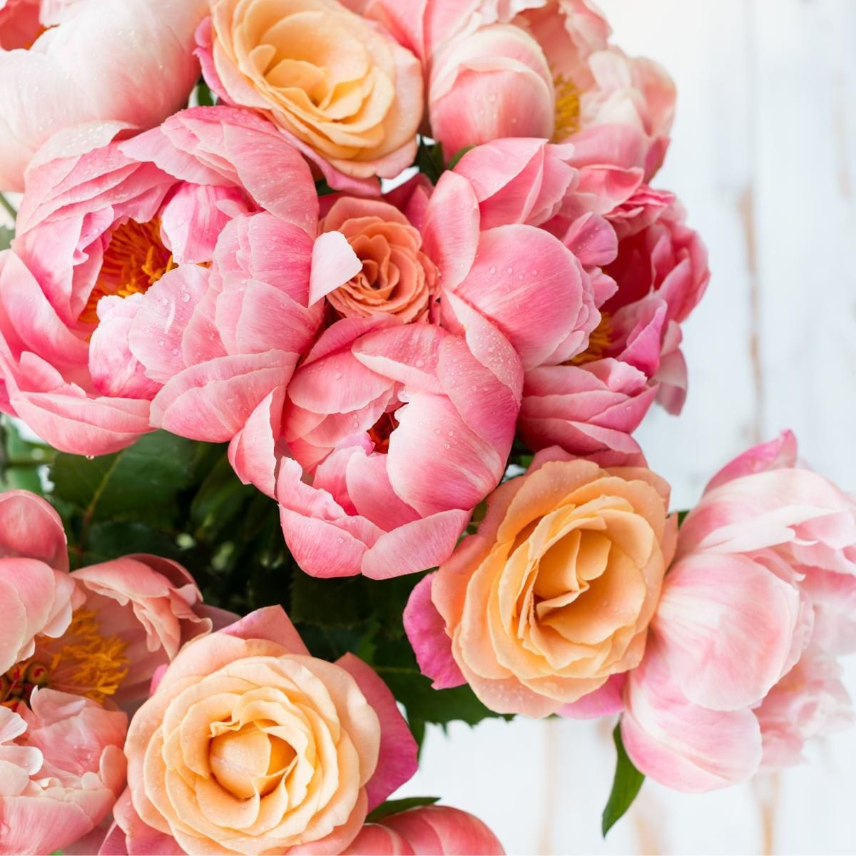 See which flower aligns with your personality according to your zodiac sign