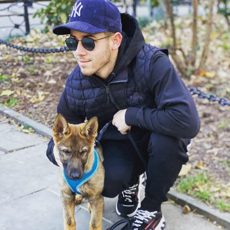 Nick Jonas talks puppy Gio Jonas