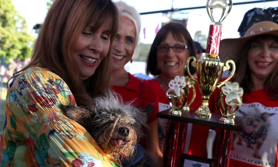 Worlds Ugliest Dog winner