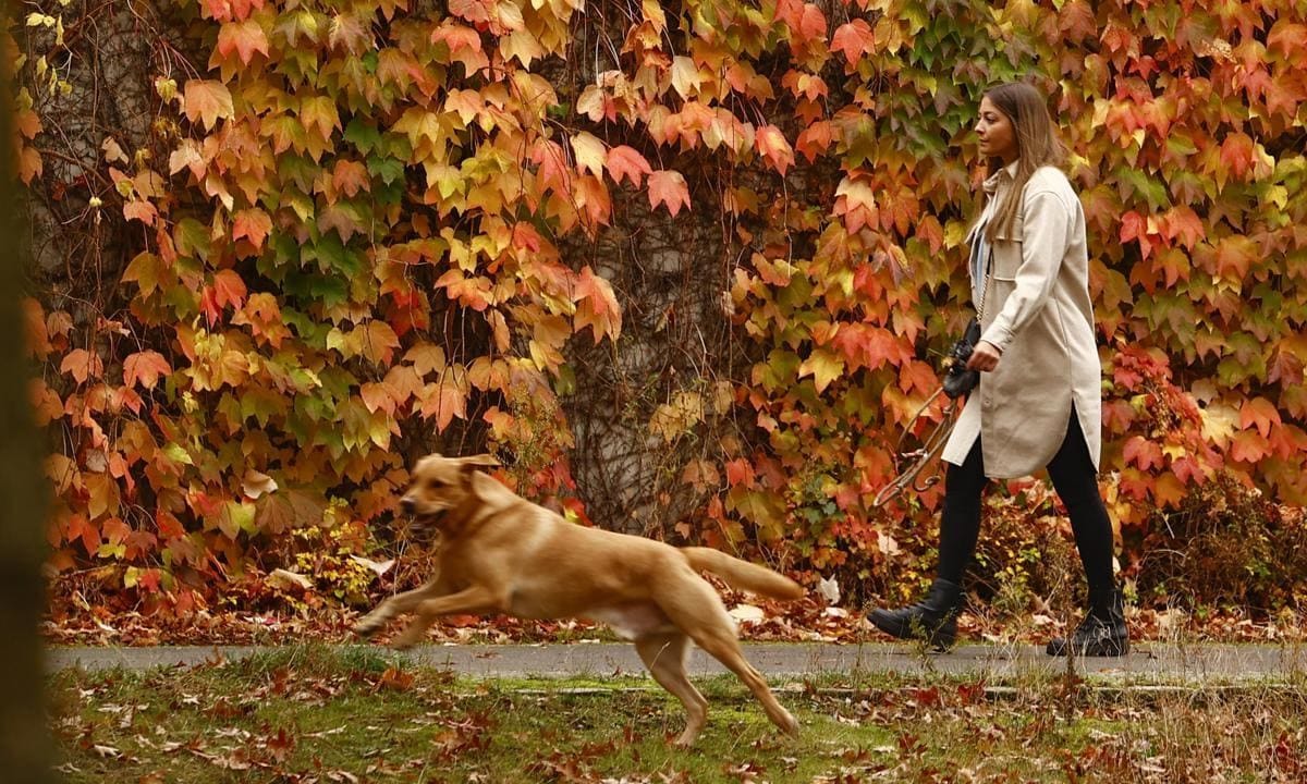 Autumn in Berlin