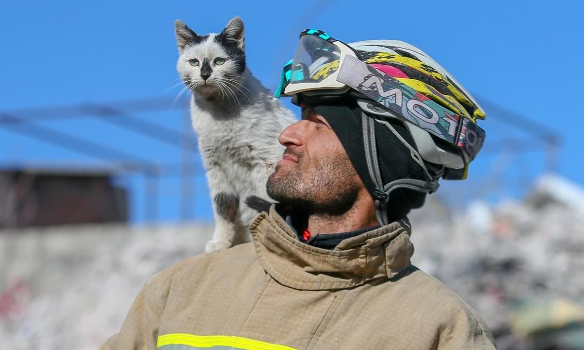 "Enkaz" the cat won't leave the side of its rescuers in quake hit Gaziantep