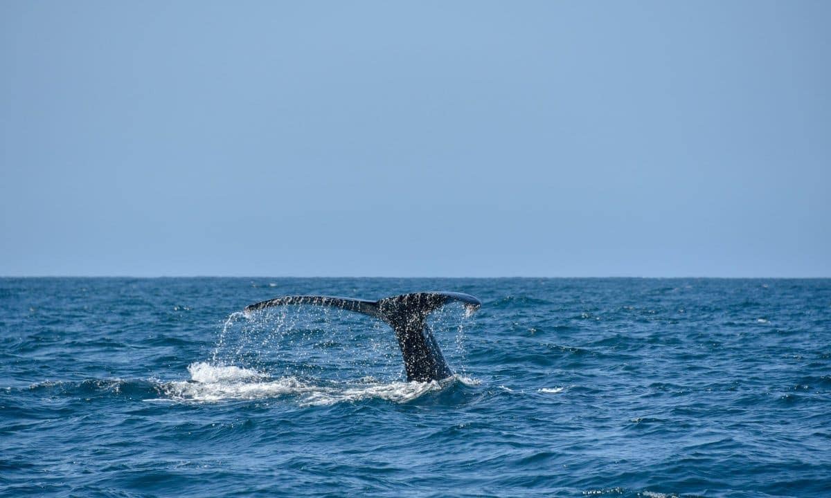 Los Cabos, Mexico