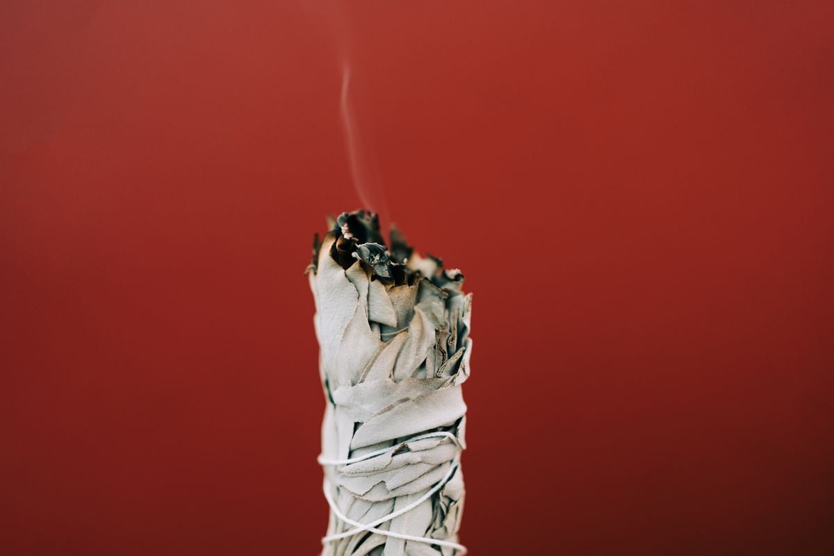 Smoldering White Sage on red background. Process of room fumigation ritual. Copy space for your design. Front view and macro