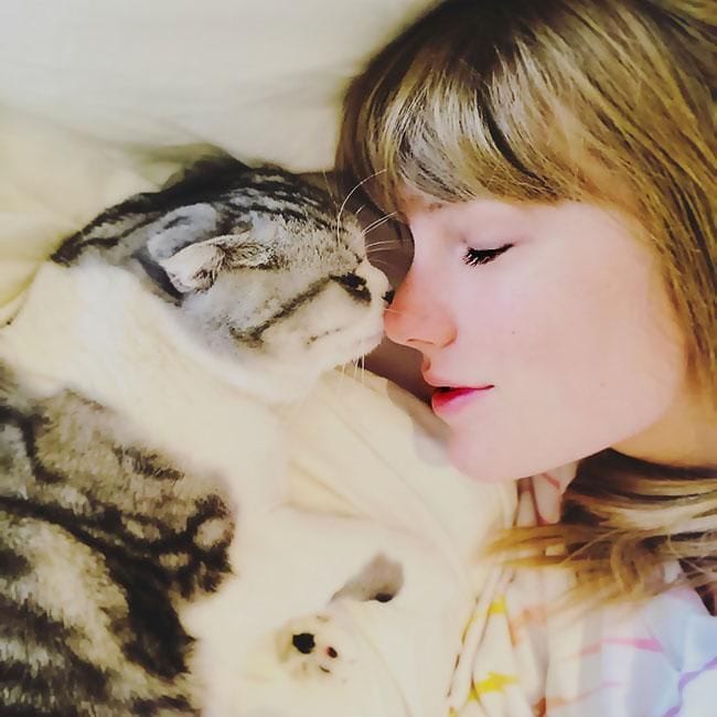 Taylor Swift mima a sus gatos