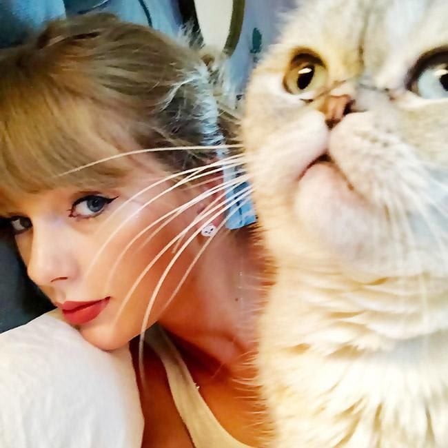 Taylor Swift y sus gatitos