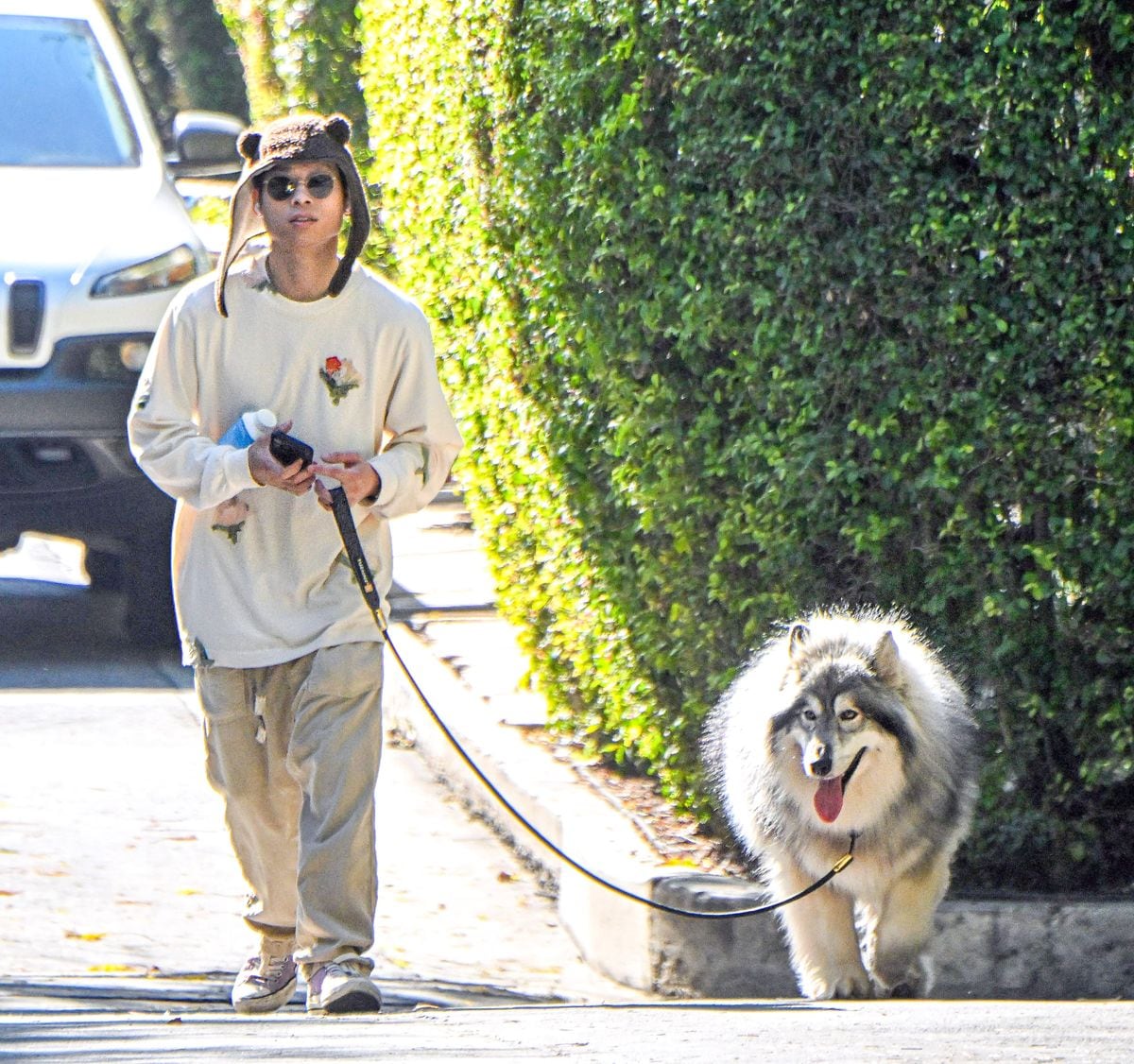 Pax Jolie takes his new dog for a walk in LA