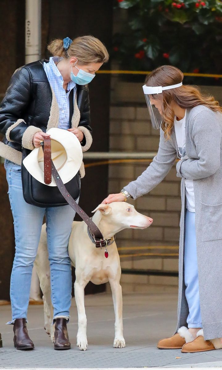 Drew Barrymore helps rescue dog in Manhattan