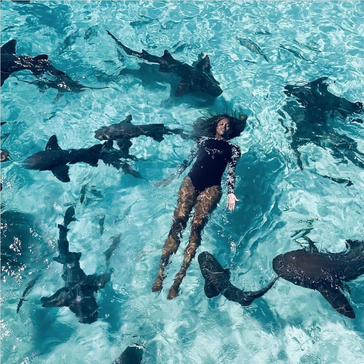 Ciara swimming with sharks