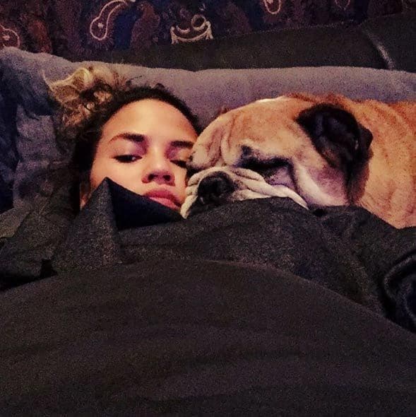 Chrissy Teigen and her husband John Legend have a family of dogs including bulldogs Pippa and Putty, who tied the knot in an amusing video to raise money for charity in March 2014.
<br>Photo: Instagram/@chrissyteigen