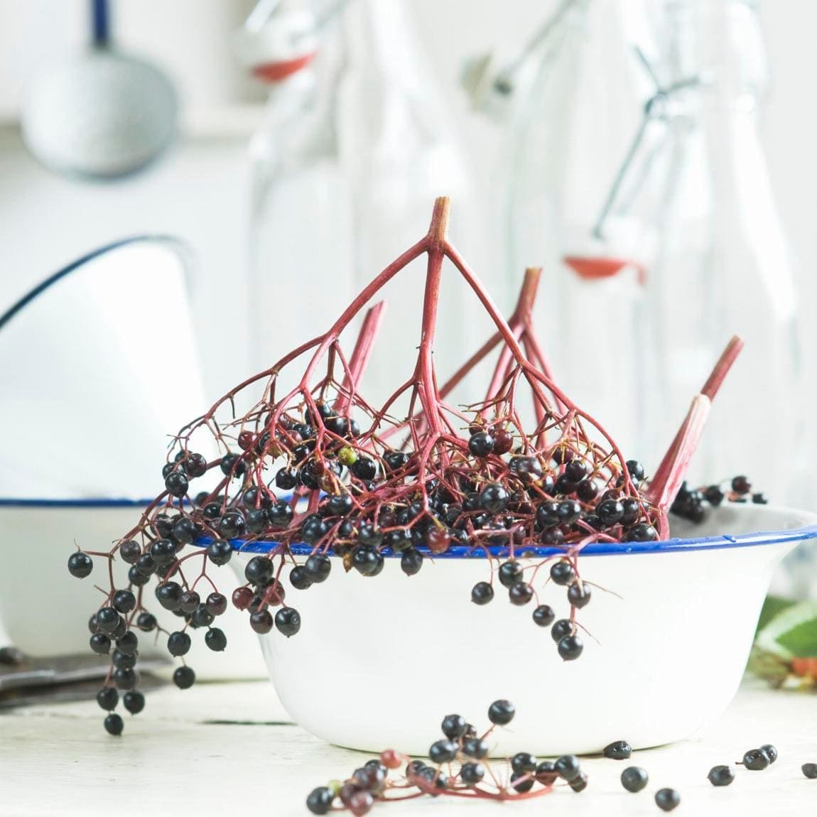 Ingredients and kitchen utensils for making homemade elderberry juice