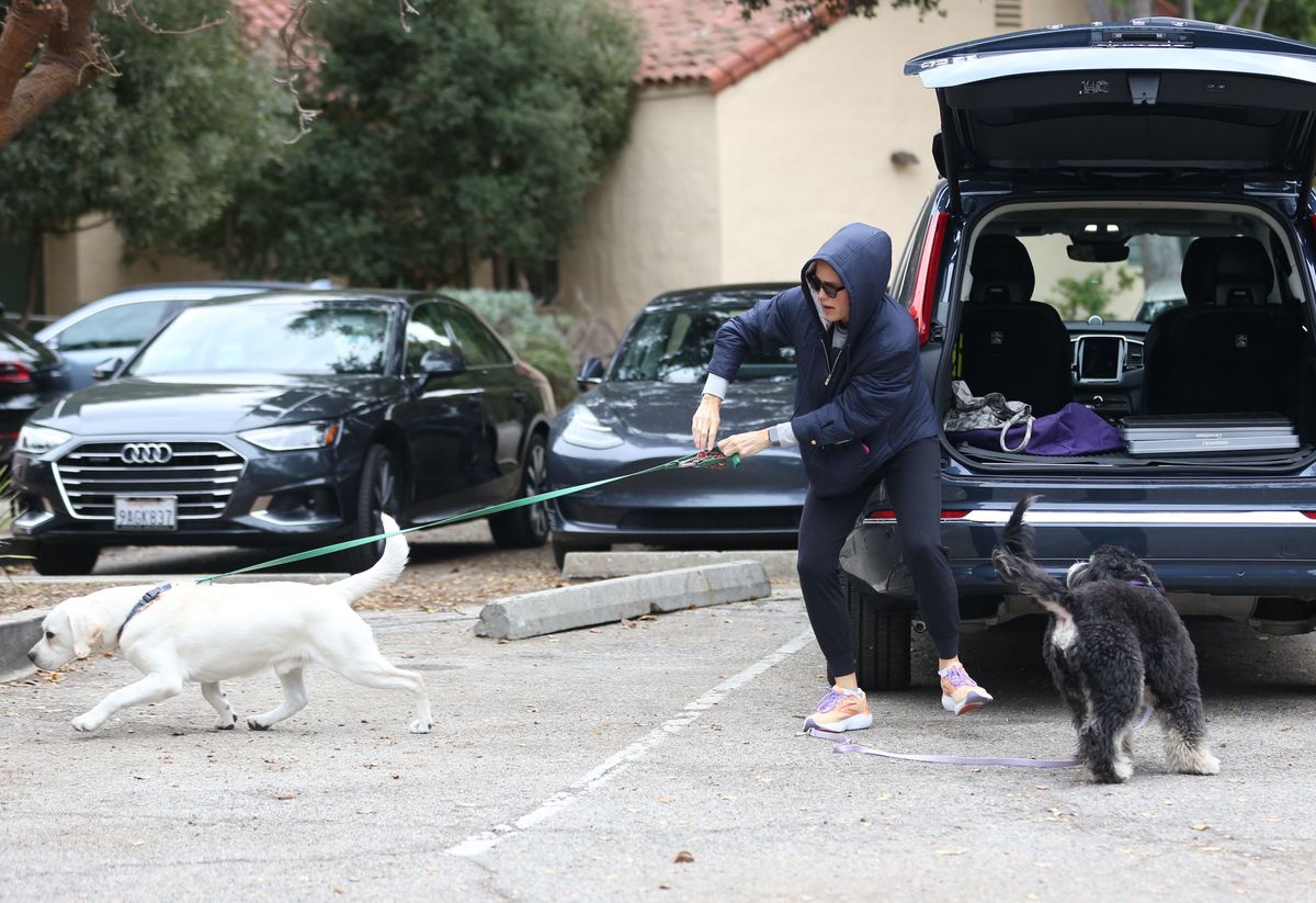 Jennifer Garner can't control her new puppy at the dog park after her beloved retriever Birdie died last week, Nov 29, 2024.