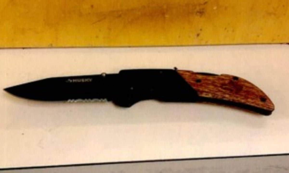 Ariana Grande's stalker's knife