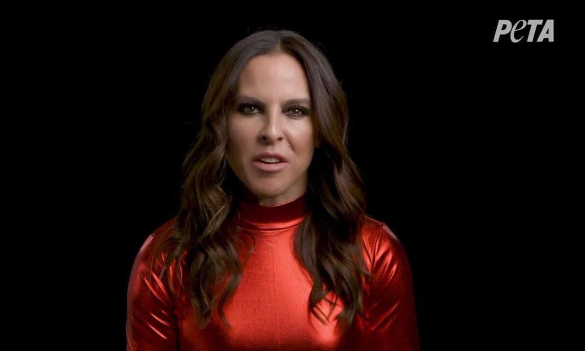 Celebrity activism, Kate del Castillo is taking a stand against bullfighting