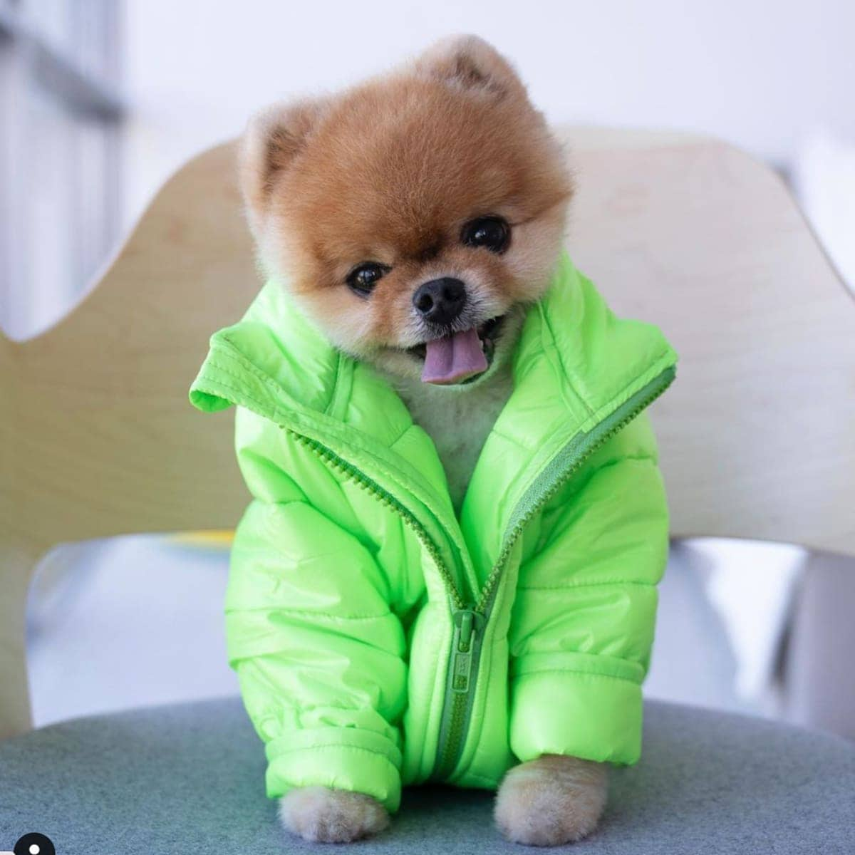 JIffpom