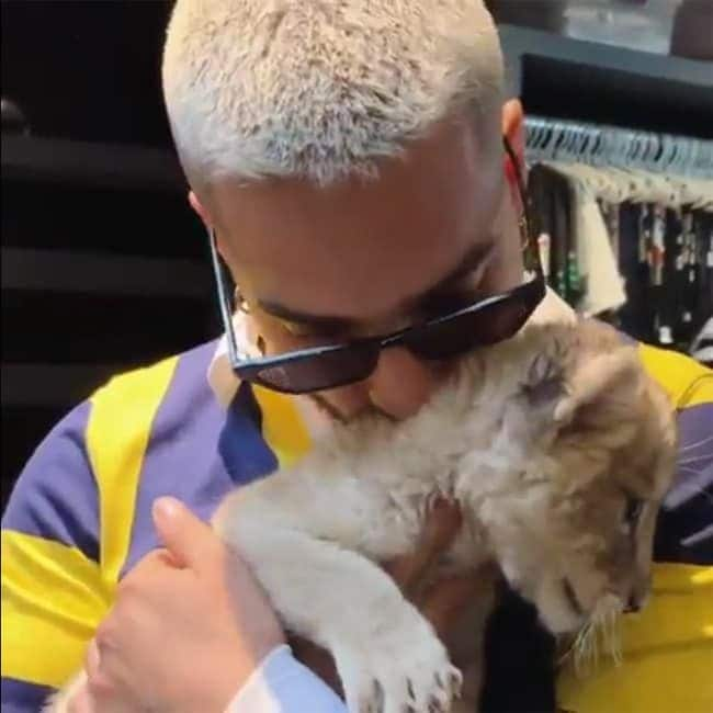 Maluma baby lion video on Instagram