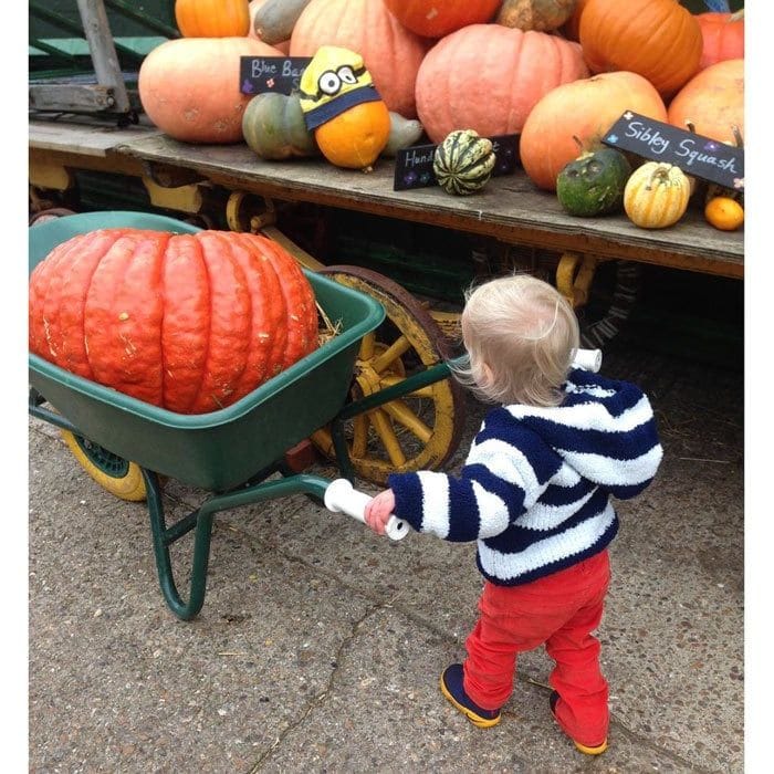 That's one big pumpkin! Liv Tyler's son Sailor adorably hauled his large pick in a wheel barrel twice his size.
Photo: Instagram/@misslivalittle