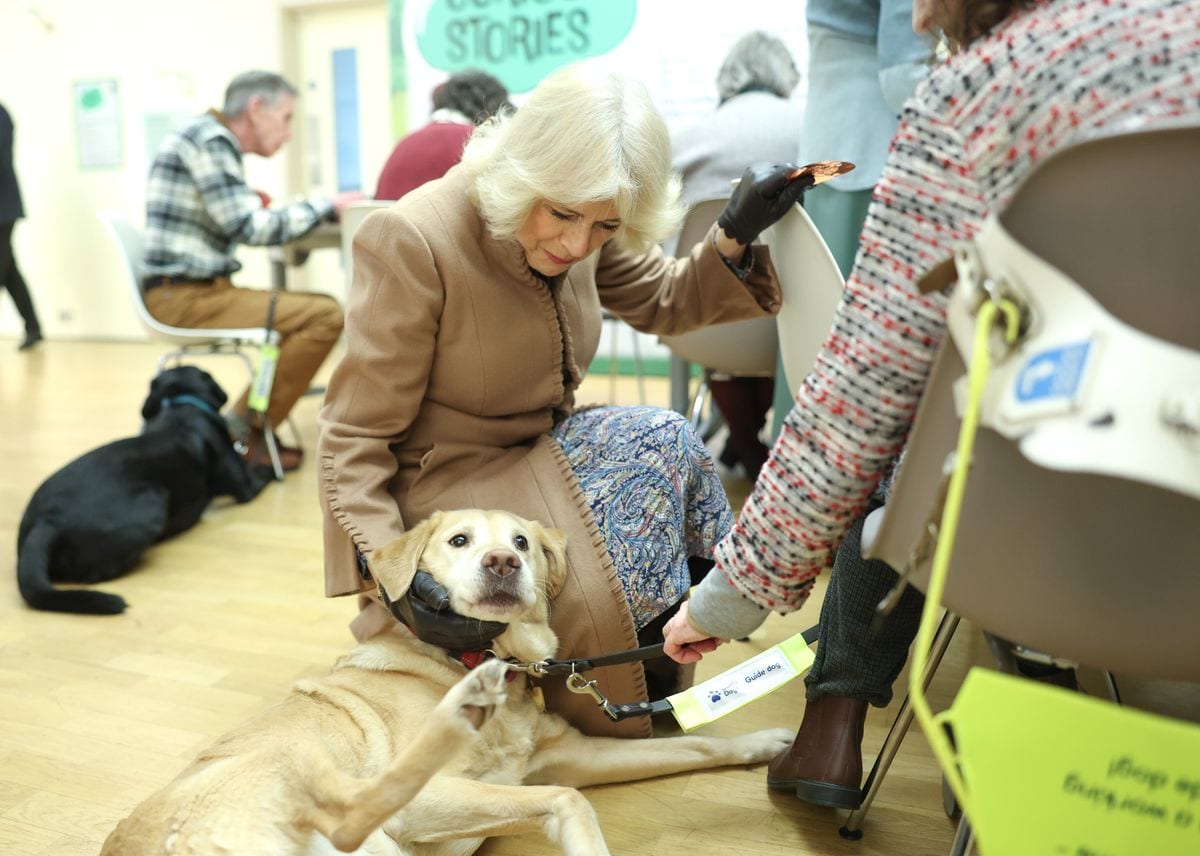 Queen Camilla (pictured with a guide dog) visited the Beaney House of Art & Knowledge on Feb. 25, 2025