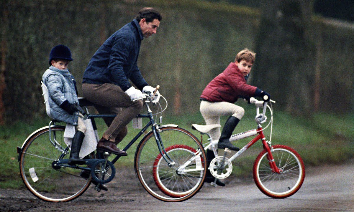Little Prince Harry looked comfortable sitting in his child seat as his father Prince Charles cycled alongside Prince William in Norfolk.