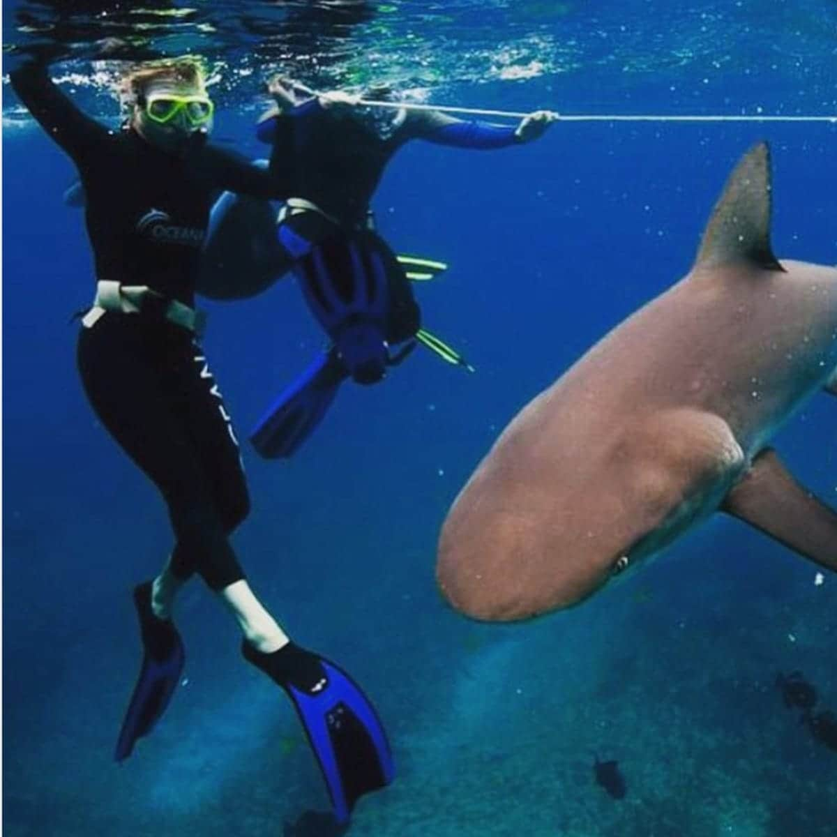 January Jones swimming with sharks