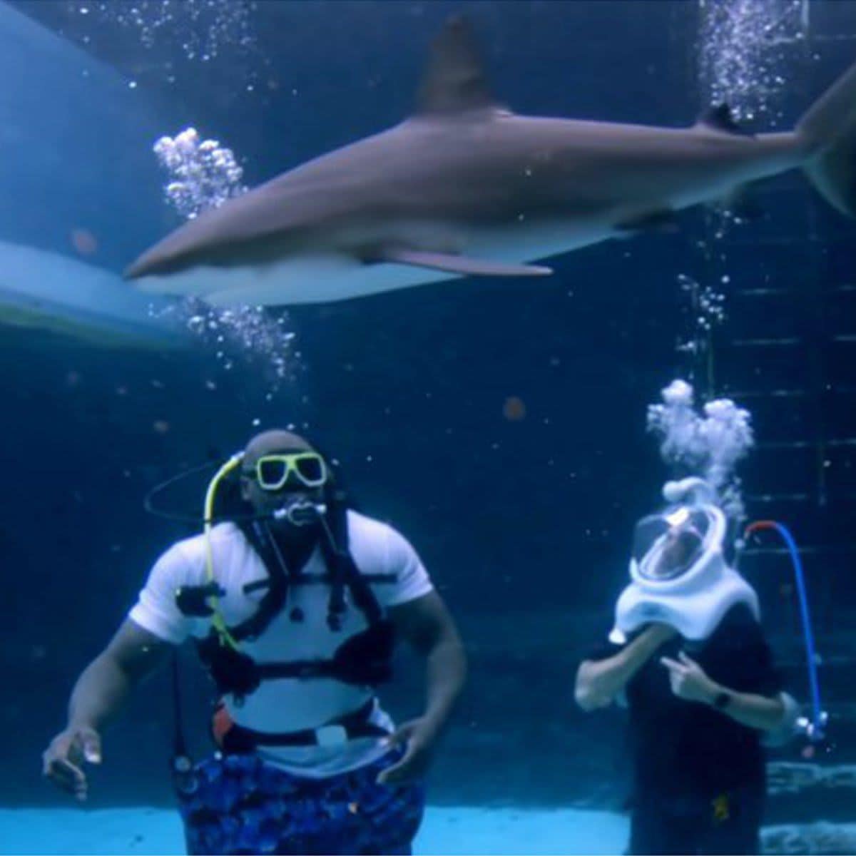 Shaquille O'Neal swimming with sharks