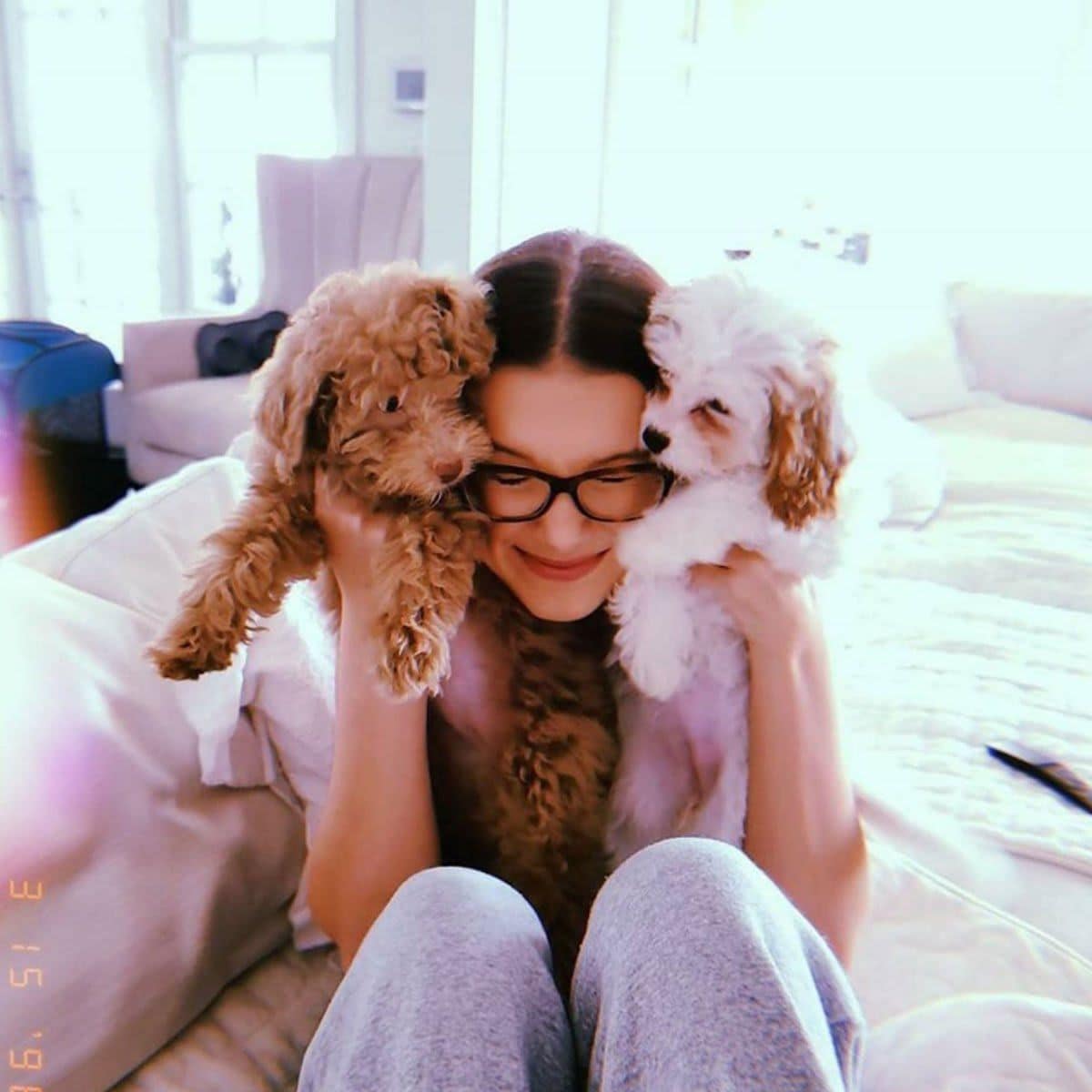 Millie Bobby Brown's pets