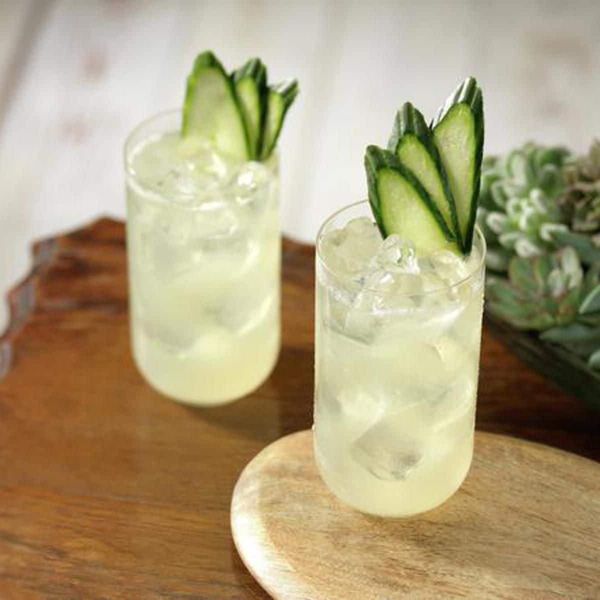 Cucumber-Coconut Margarita by PATRON