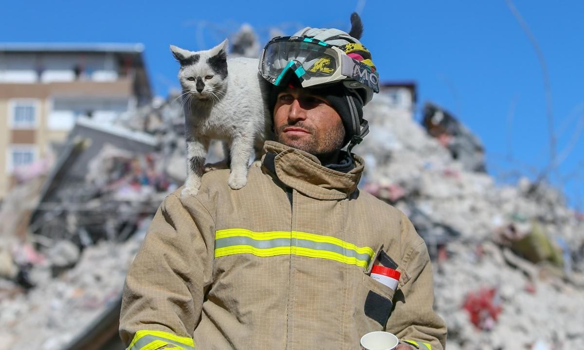 "Enkaz" the cat won't leave the side of its rescuers in quake hit Gaziantep