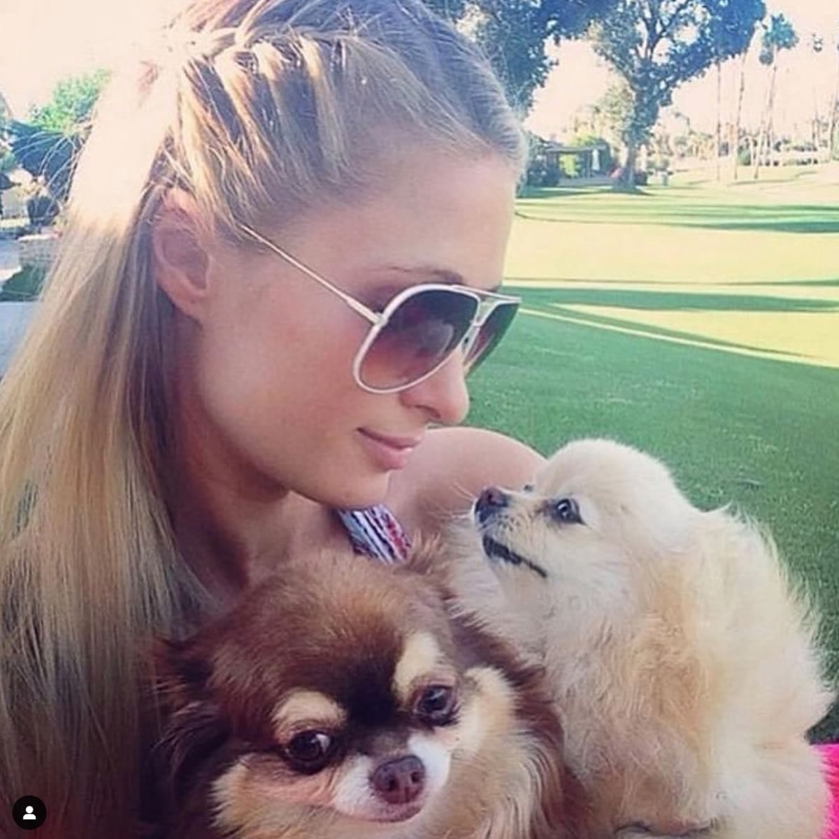 Paris Hilton with her dogs Harajuku and Marilyn