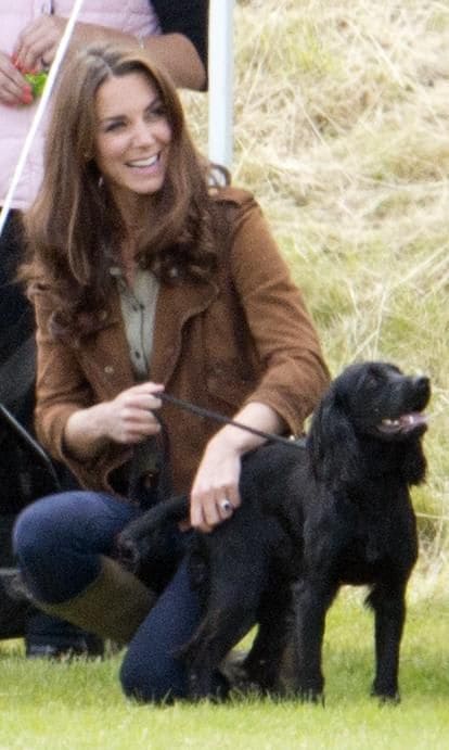 The Duke and Duchess received Lupo as a wedding gift from Kate’s younger brother James Middleton