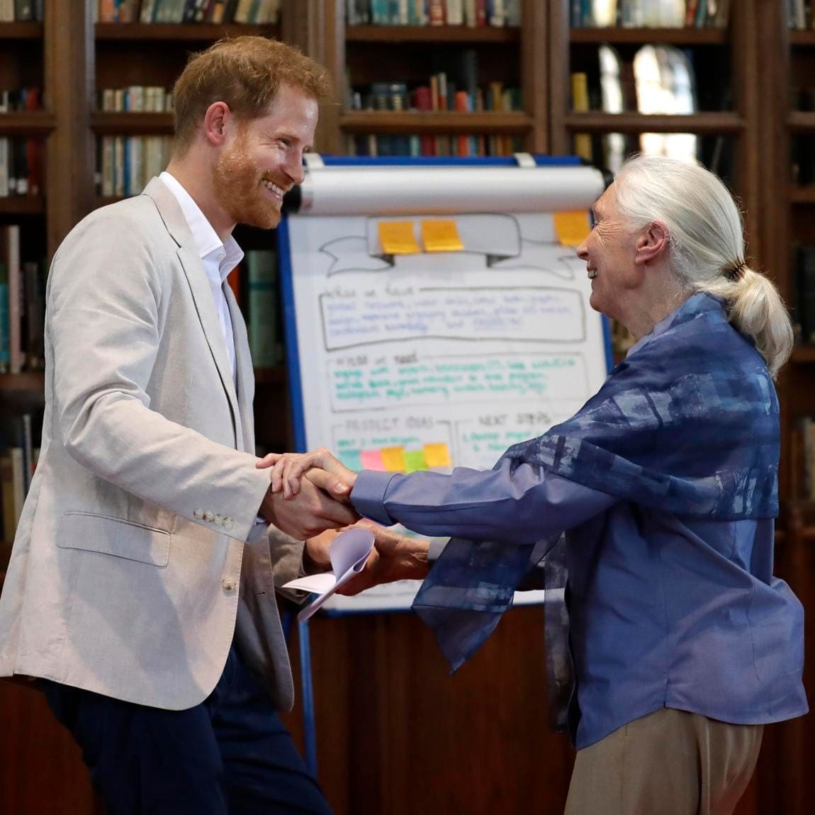 Jane Goodall reportedly said Harry wants his son to grow up away from all the ‘pomp and royalty’