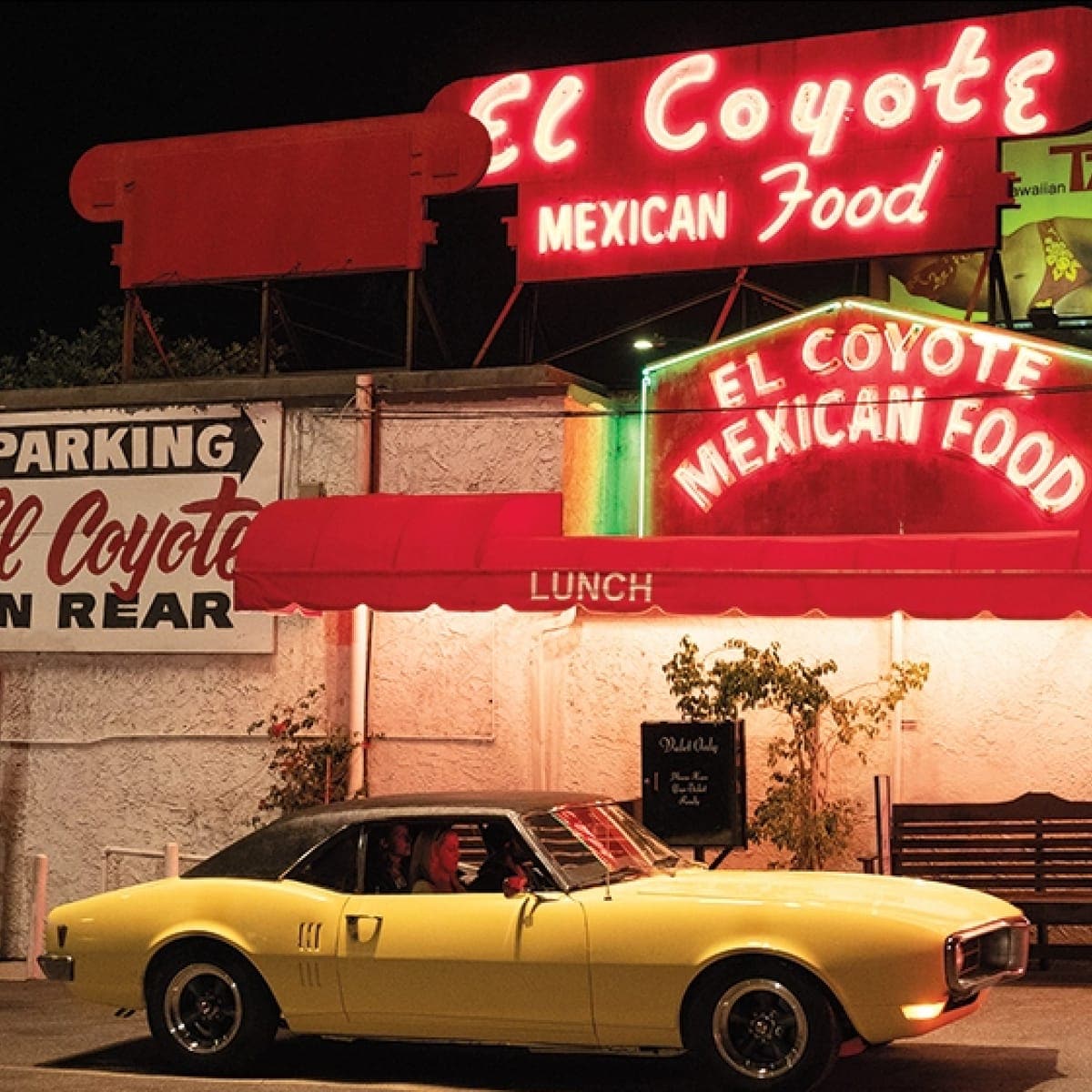 El Coyote