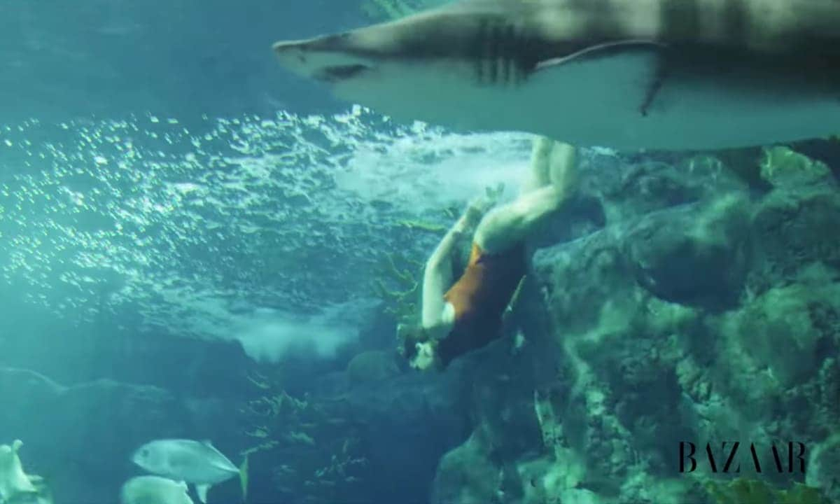 Rihanna swimming with sharks