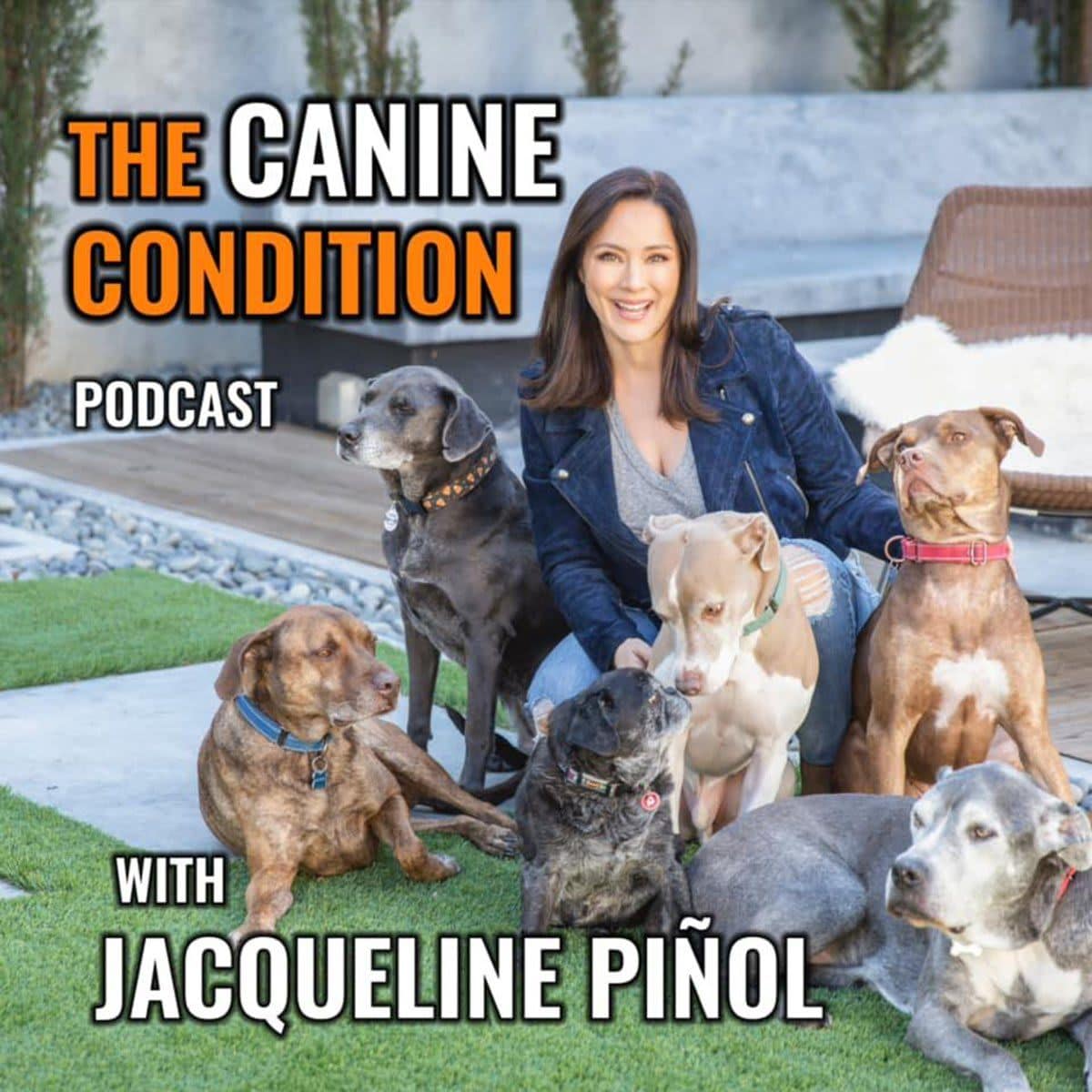 The Canine Condition Podcast