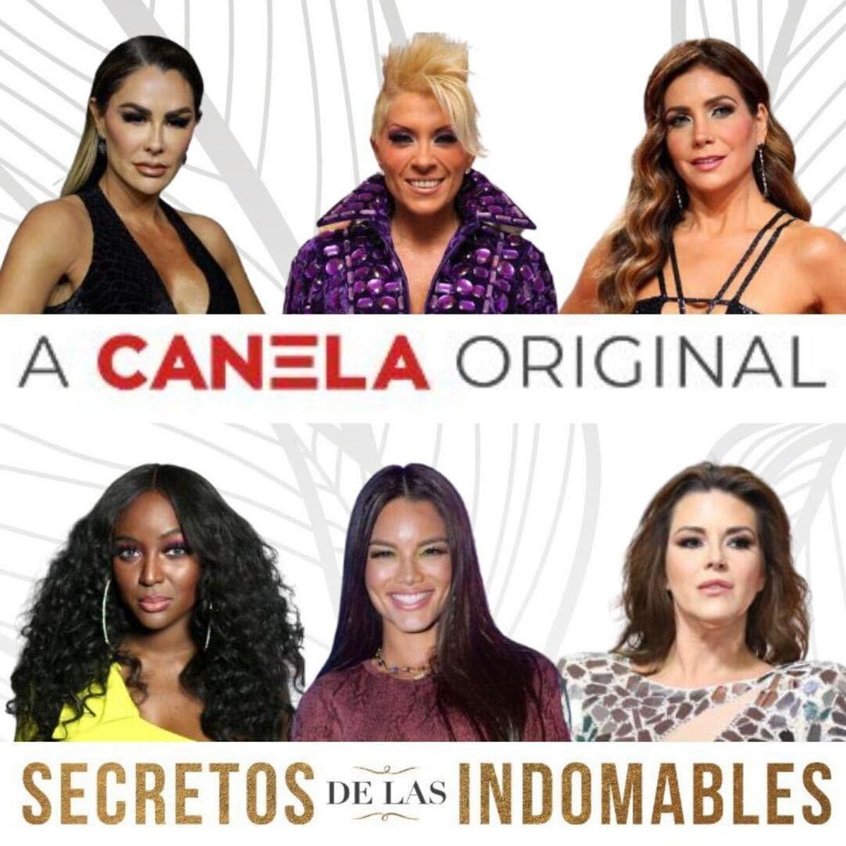 Canela.TV unveils all star cast for reality series ‘Secretos de las Indomables’
