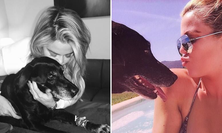 Khloe Kardashian said goodbye to her pet Gabbana