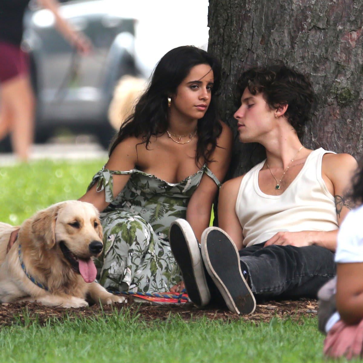 Camila Cabello and Shawn Mendes and their dog Tarzan